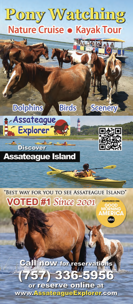 Assateague Explorer Brochure