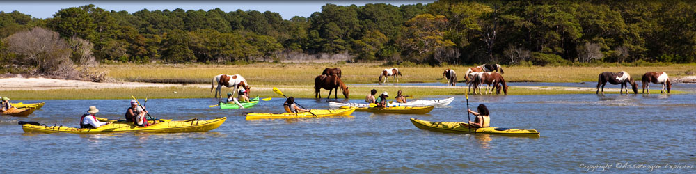 Assateague Kayaking Tours