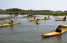 Kayak Tour Photo Gallery 2